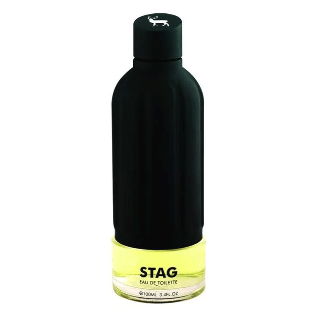 Estiara Stag Pour Homme EDT 100ml
