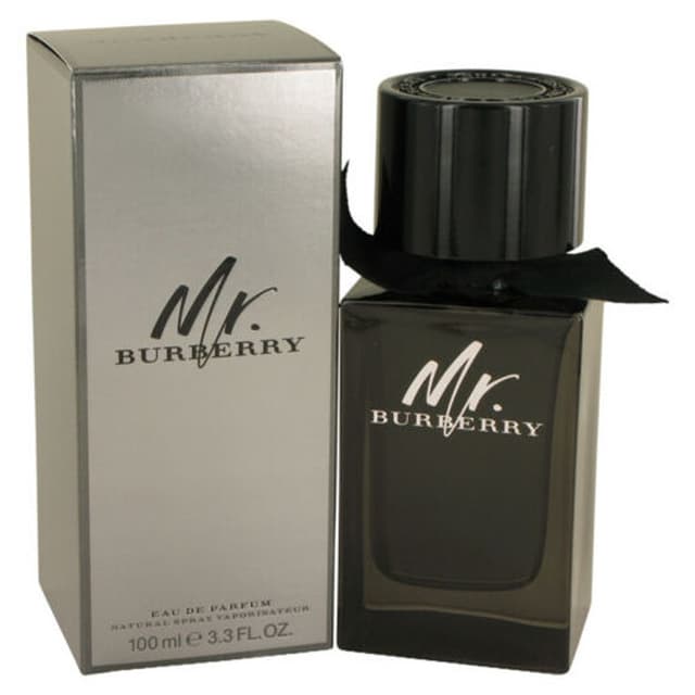 Burberry Mr Burberry for Men EDP 100ml