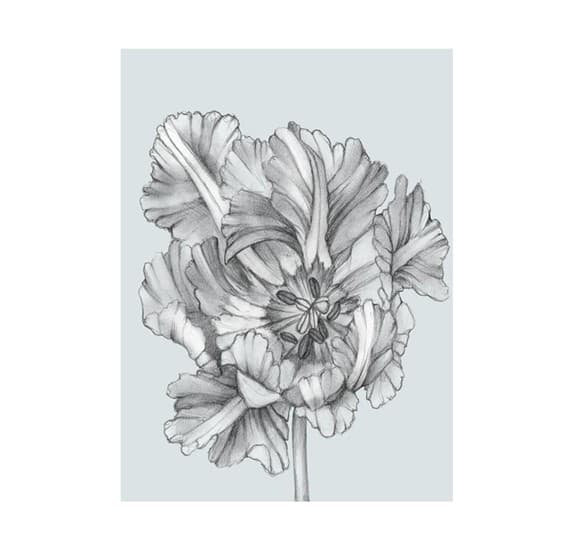 Ora Silvery Blue Tulips I Poster Blue
