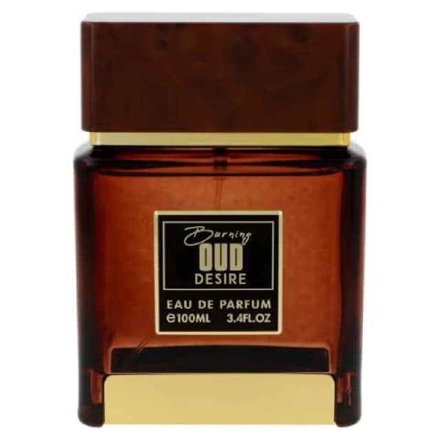 Flavia Burning Oud Desire Eau de Parfum (EDP) 100ml for Men - Oriental Leather Fragrance