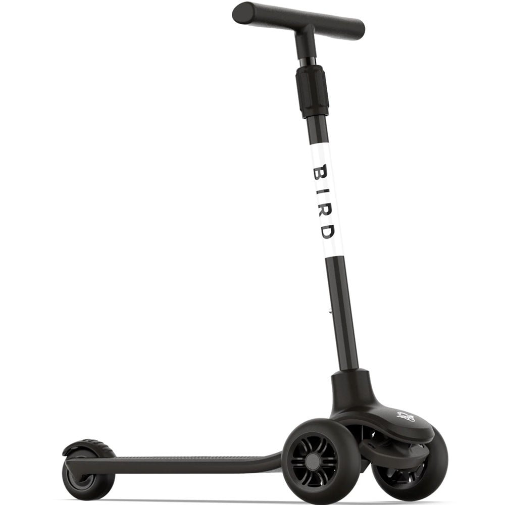 Buy a online bird scooter