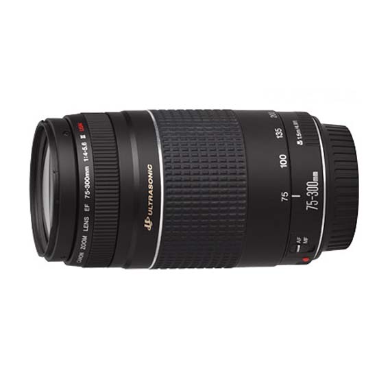 Buy Canon Ef 75 300mm Lens For Canon Slr Cameras F4 0 5 6 Iii Online Qatar Doha Ourshopee Com Oa2318