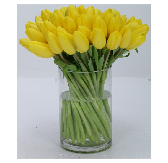 Buy Black Tulip Flowers 50 Stems Yellow Tulips In A Cylinder Vase Online Dubai Uae Ourshopee Com Ol1308