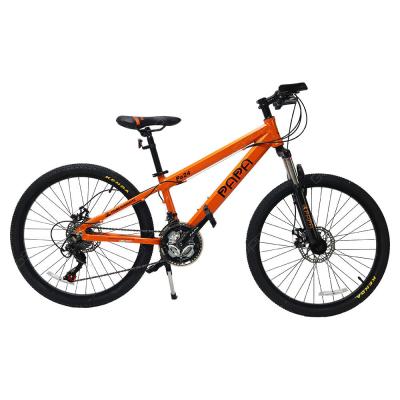 Papa Mountain Bike Orange, PA24